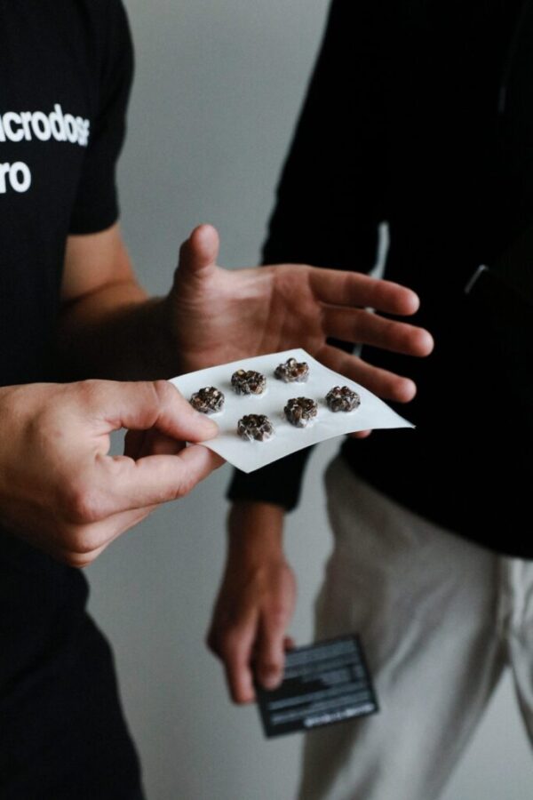 Buy Microdosing Magic Truffles Online | Natural Psychedelic Microdosing Pack
